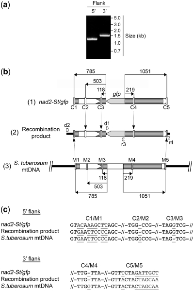 Figure 6.