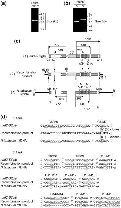 Figure 7.