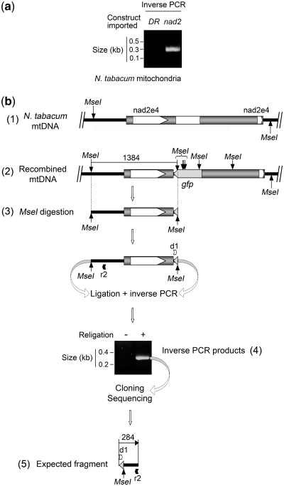 Figure 5.