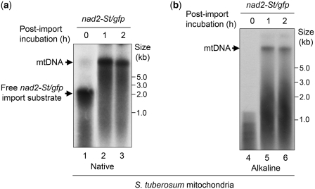 Figure 3.