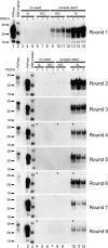 Fig. 3.