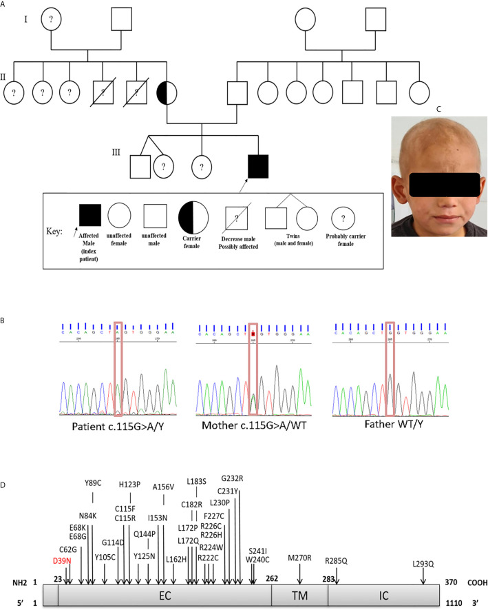 Figure 1