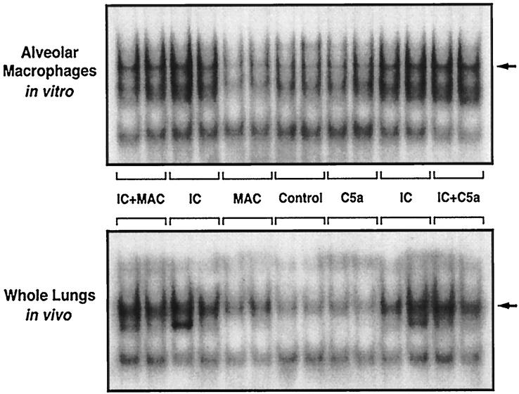 Figure 9.