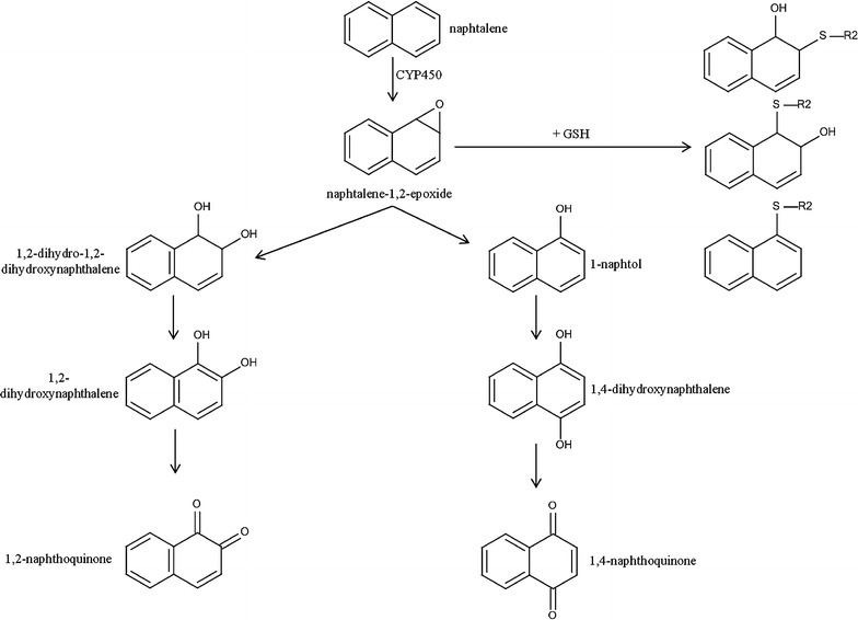 Fig. 2