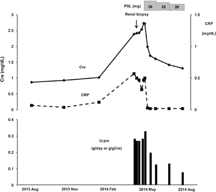 Fig. 1