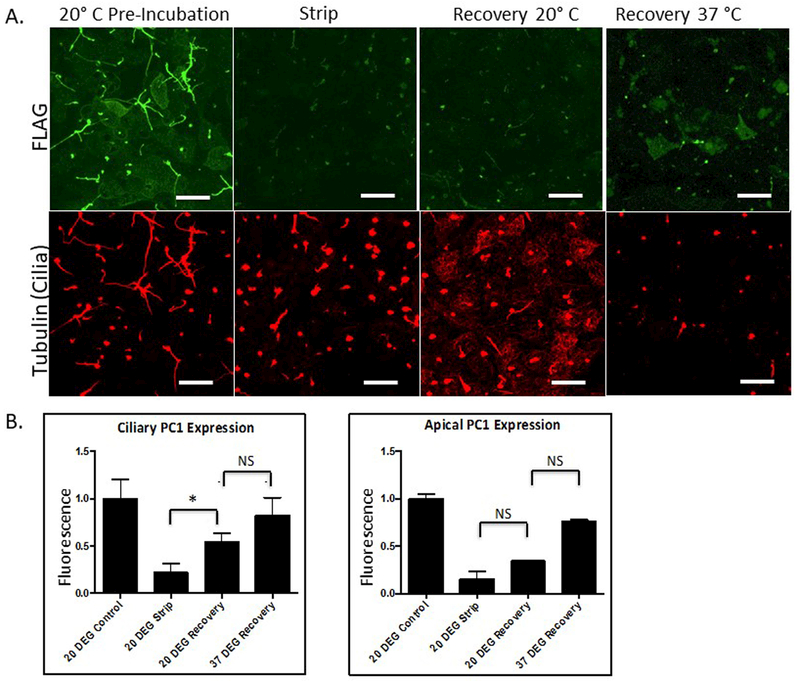 Figure 4: