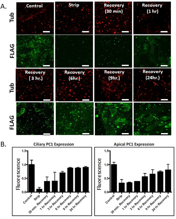 Figure 2: