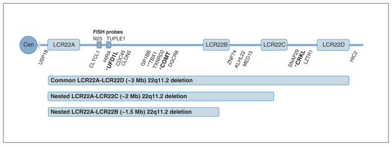 Figure 1: