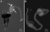 Fig. 6.