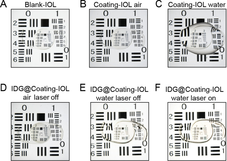 Fig. 8