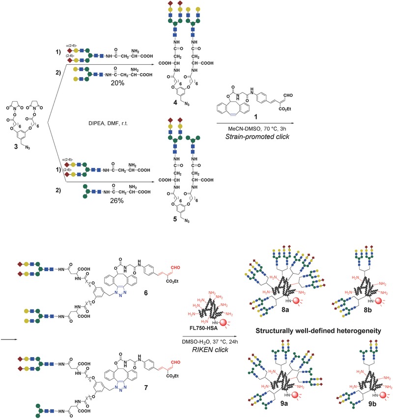 Scheme 1