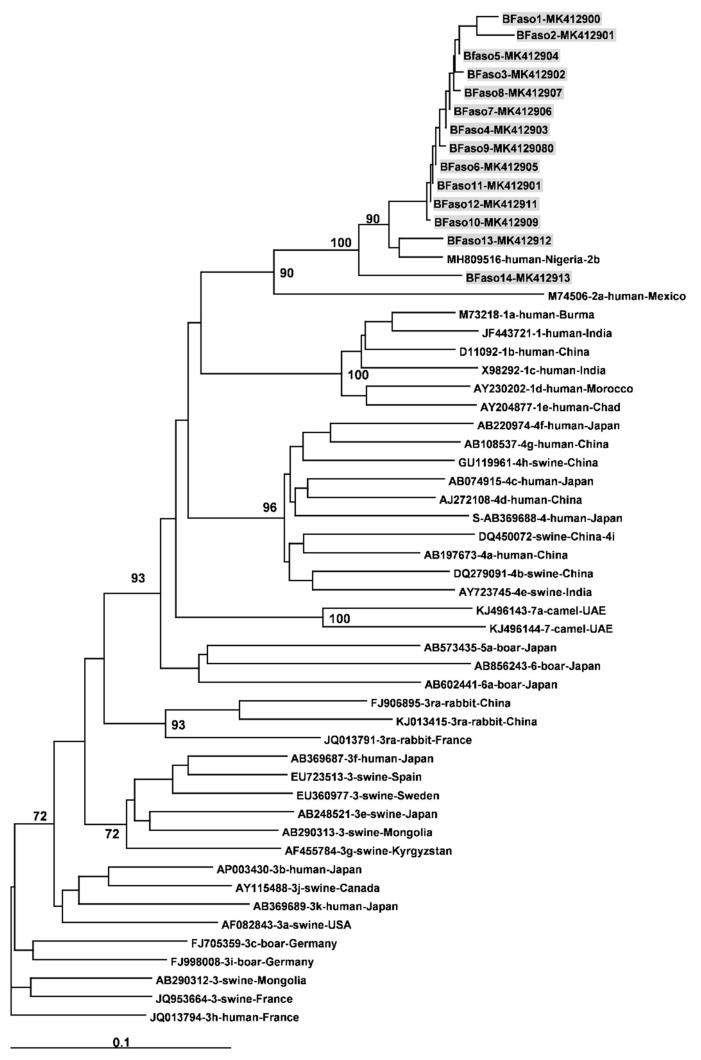 Figure 2