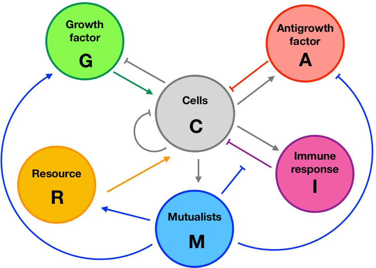 Figure 1: