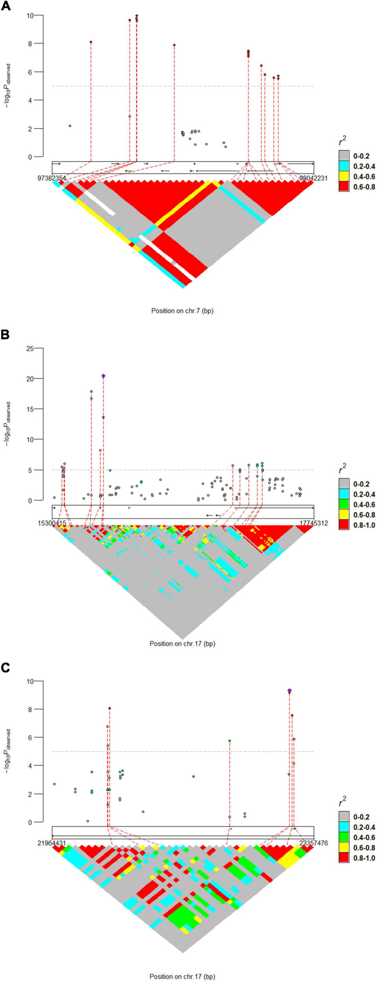 FIGURE 3