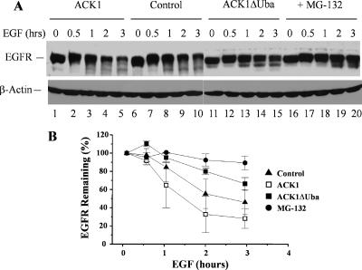 Figure 10.