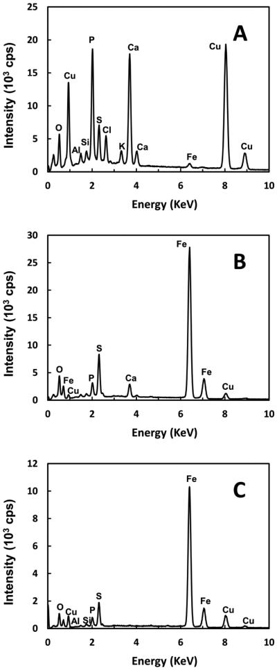 Fig. 9