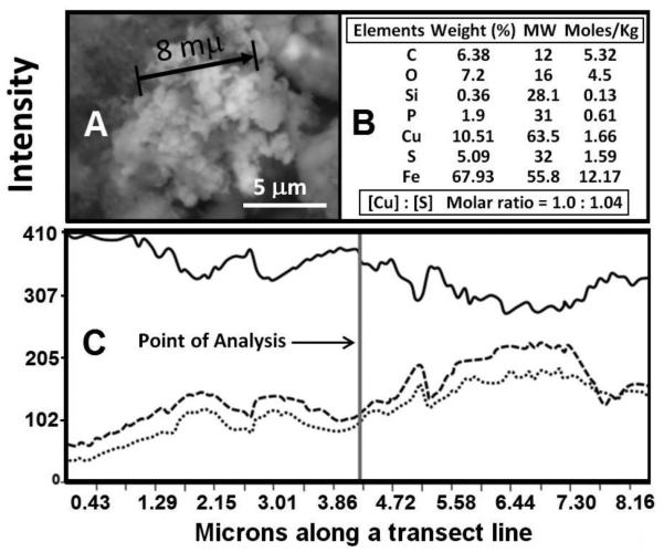 Fig. 10