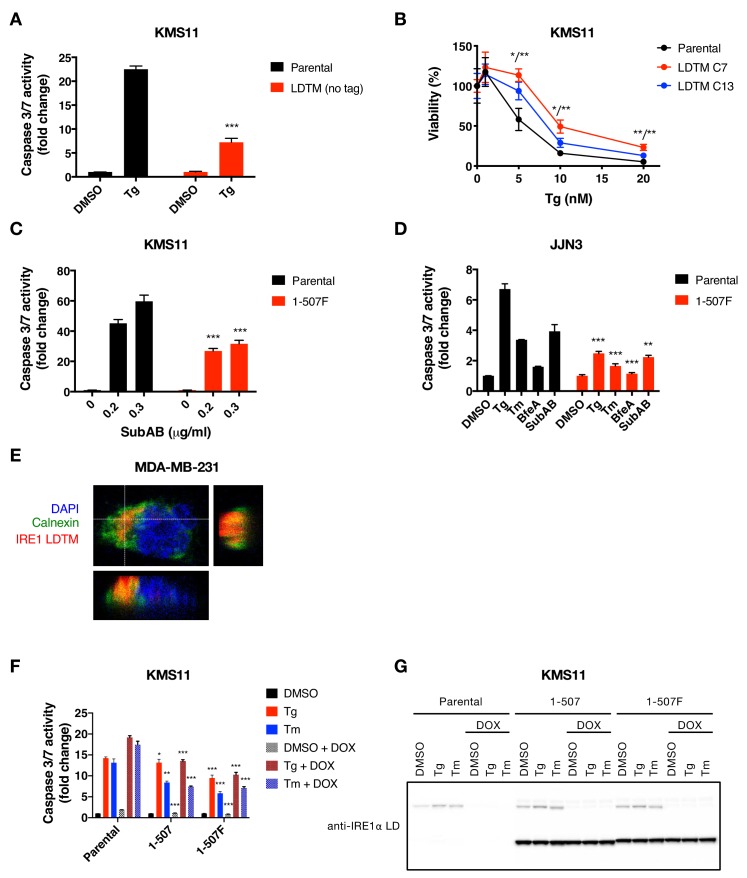 Figure 3—figure supplement 1.