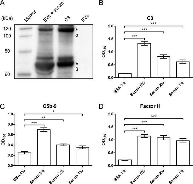 FIG 6 