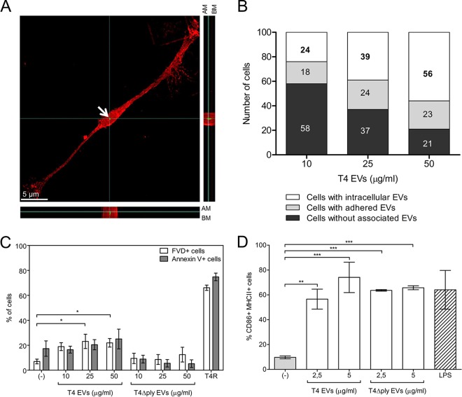 FIG 3 