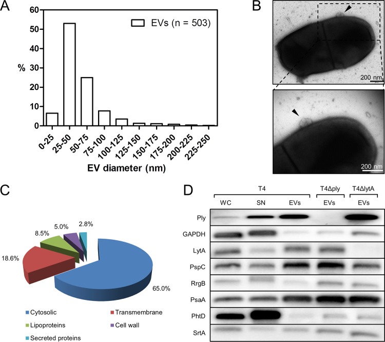 FIG 1 