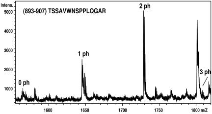 Figure 10.