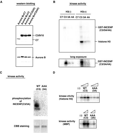 Figure 11.