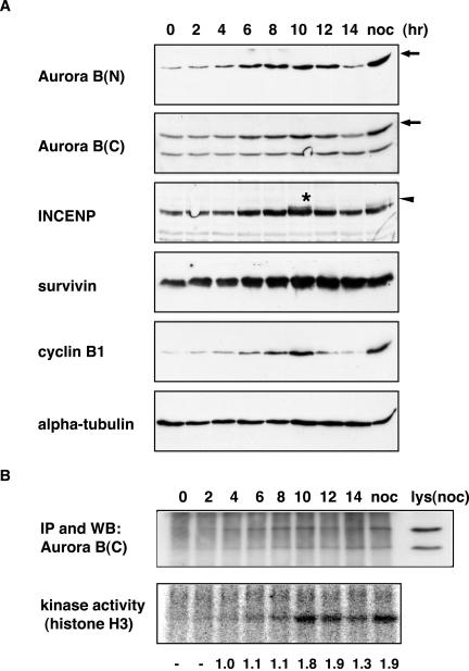 Figure 6.