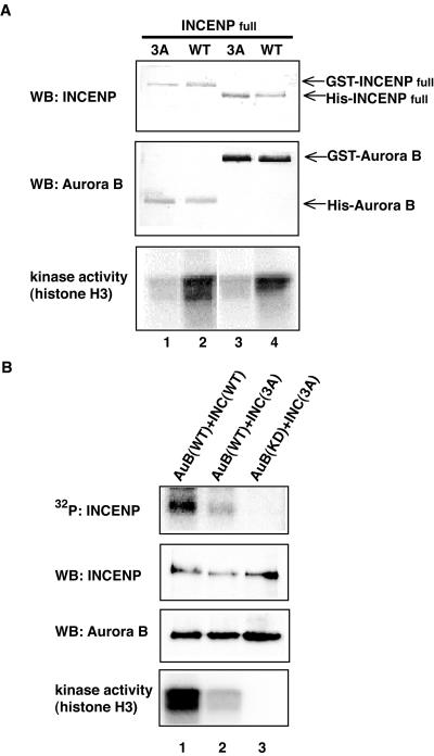 Figure 12.