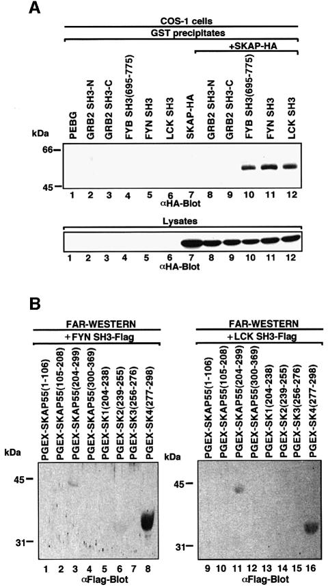 graphic file with name cdd261f3.jpg