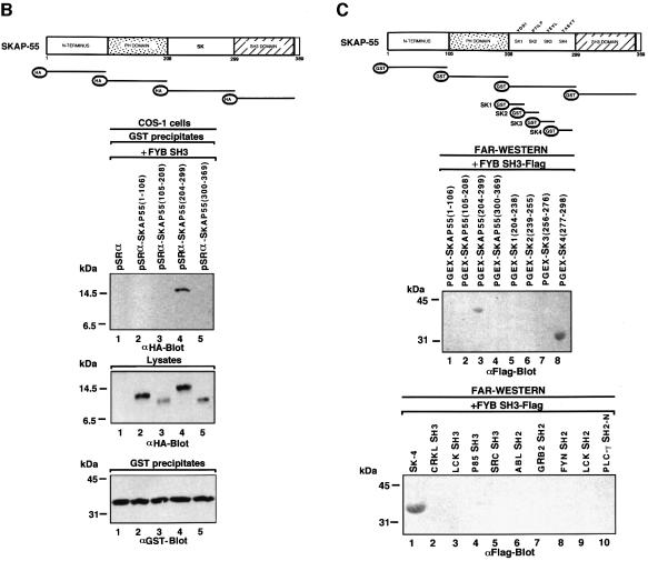 graphic file with name cdd261f1b.jpg