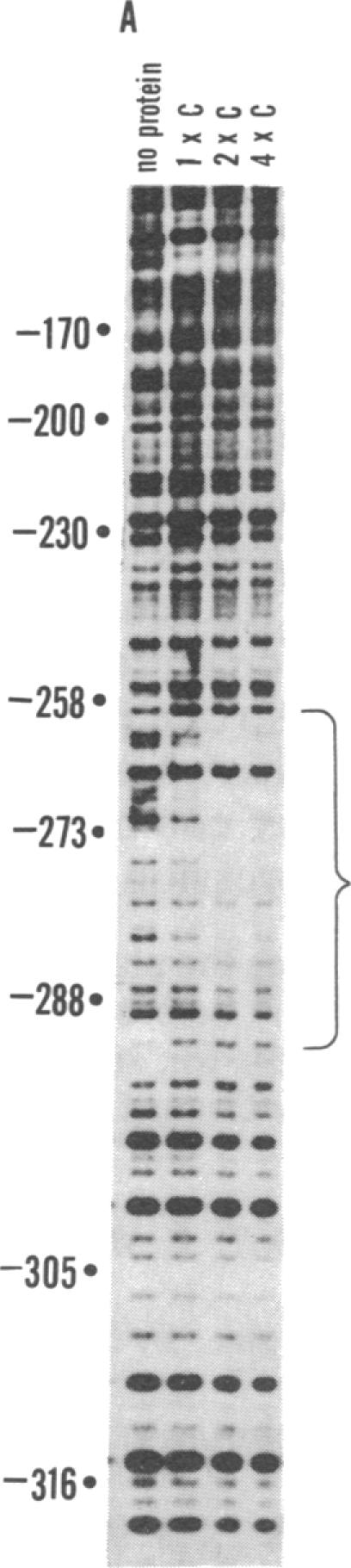 graphic file with name pnas00617-0019-a.jpg