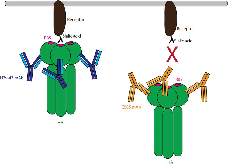 FIG 10