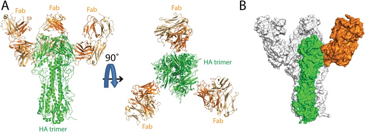 FIG 6