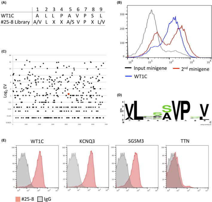 FIGURE 4