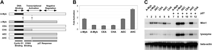 Figure 5.