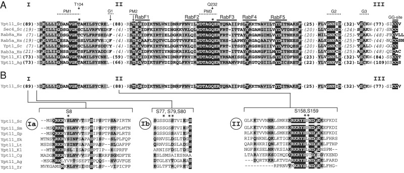 FIGURE 4: