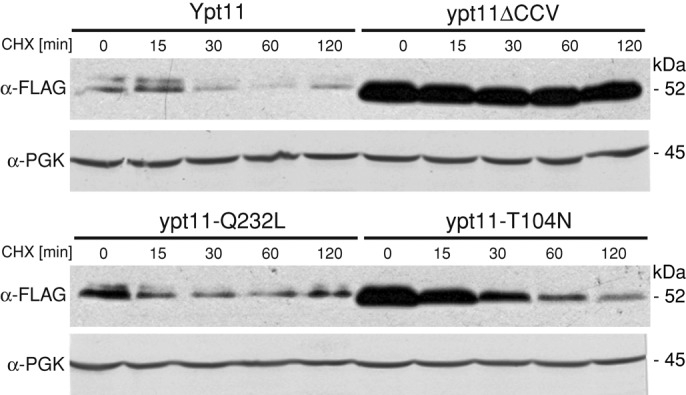 FIGURE 7: