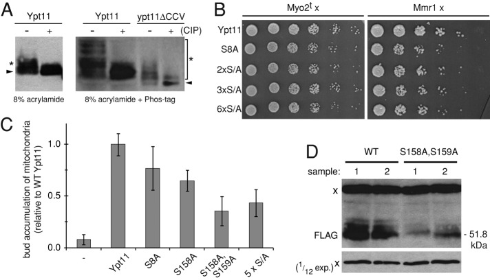 FIGURE 6: