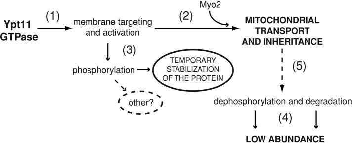 FIGURE 9: