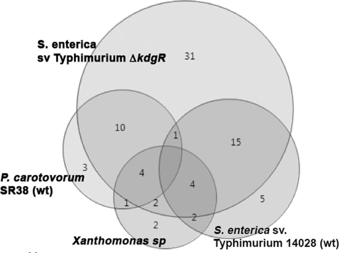 FIG 3