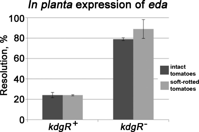 FIG 6