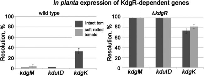 FIG 4