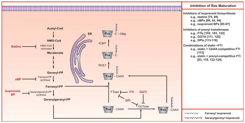 Fig. (2)