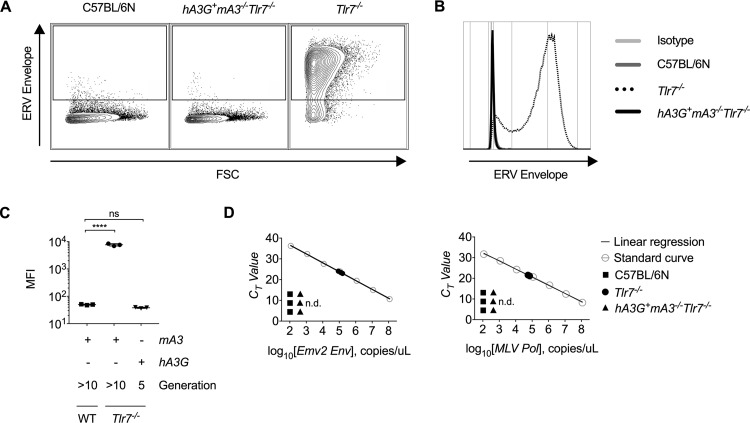 FIG 3