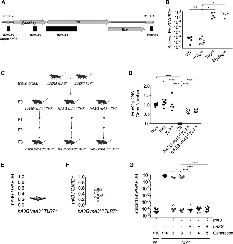 FIG 1