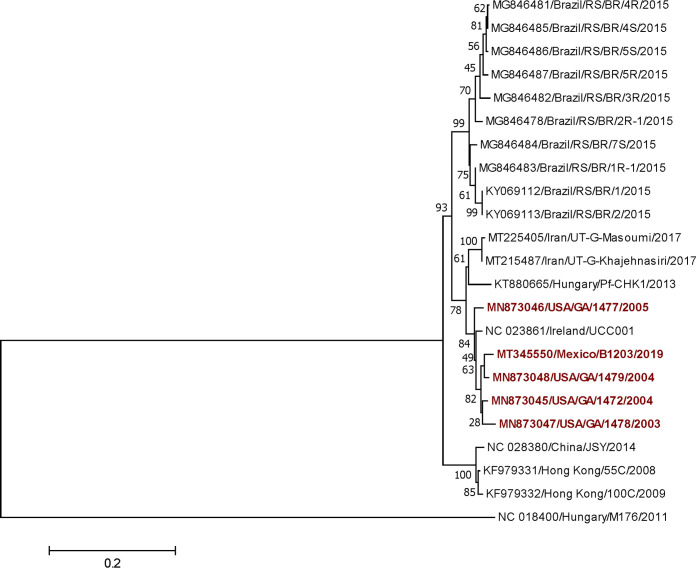 FIG 1