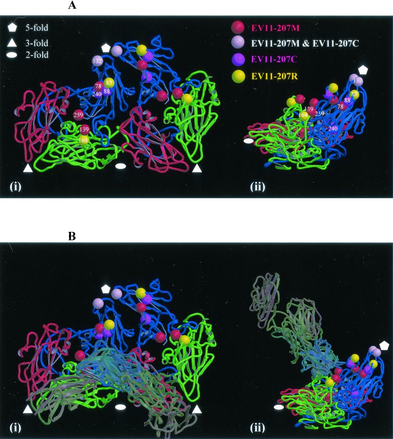 FIG. 4.