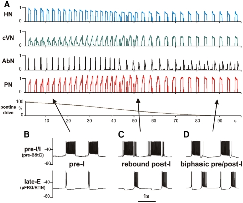 Fig. 10.