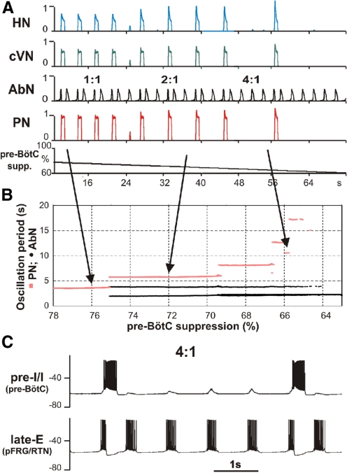 Fig. 11.